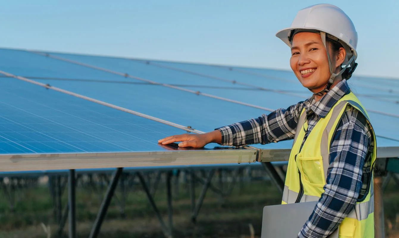 solar panel inspection