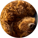 shaun walker profile picture